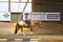26-ApHC GT_193